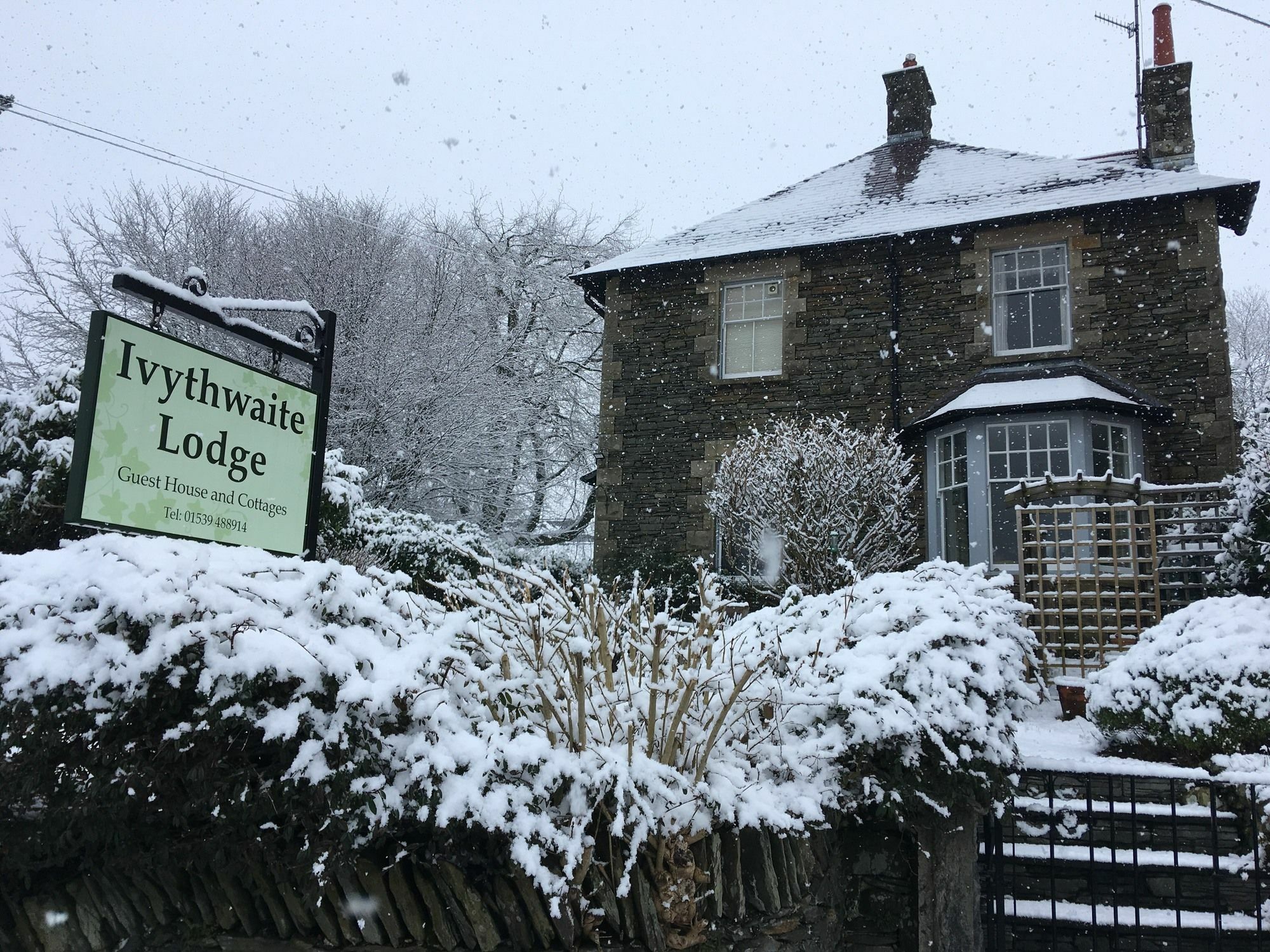 Ivythwaite Lodge Guest House Windermere Ngoại thất bức ảnh